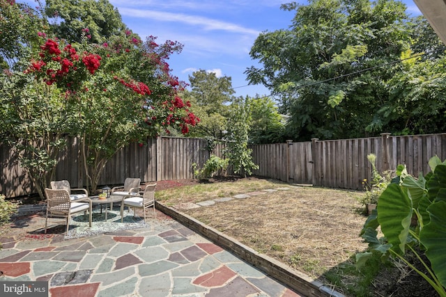 view of yard featuring a patio area