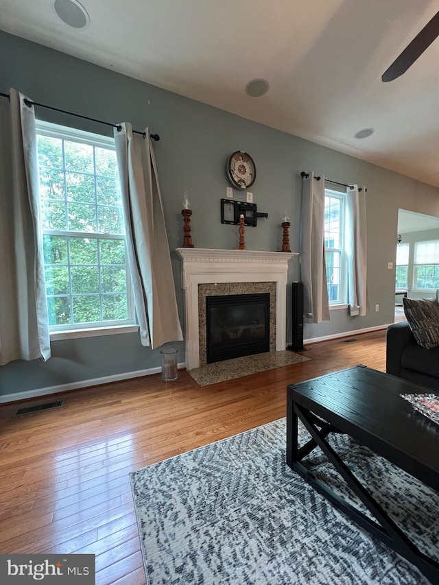 living room featuring a fireplace and light wood-type flooring