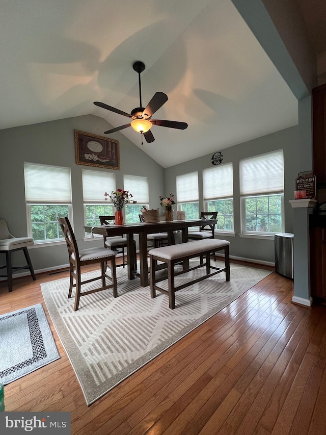 dining area with lofted ceiling, ceiling fan, and light hardwood / wood-style flooring