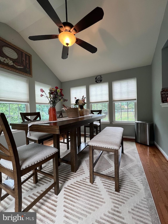 dining area with a wealth of natural light, light hardwood / wood-style floors, and vaulted ceiling