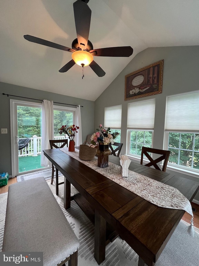 dining room with lofted ceiling and wood-type flooring