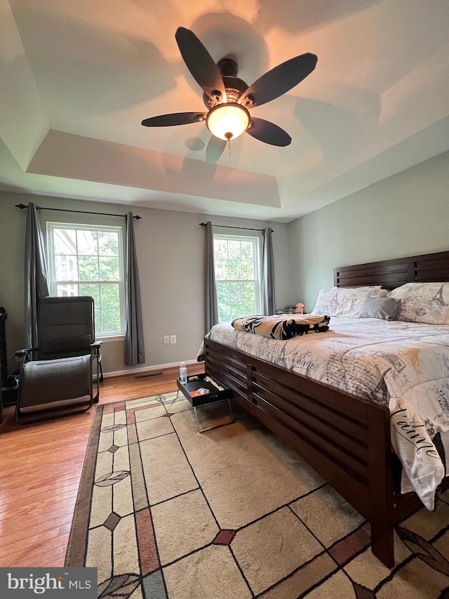 bedroom featuring multiple windows, a raised ceiling, ceiling fan, and light wood-type flooring