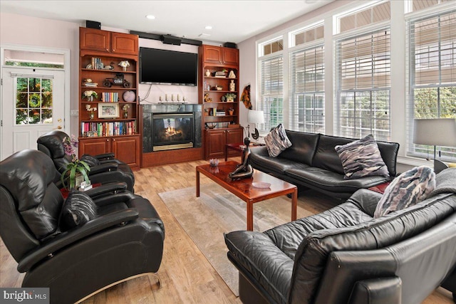 living room featuring light hardwood / wood-style floors