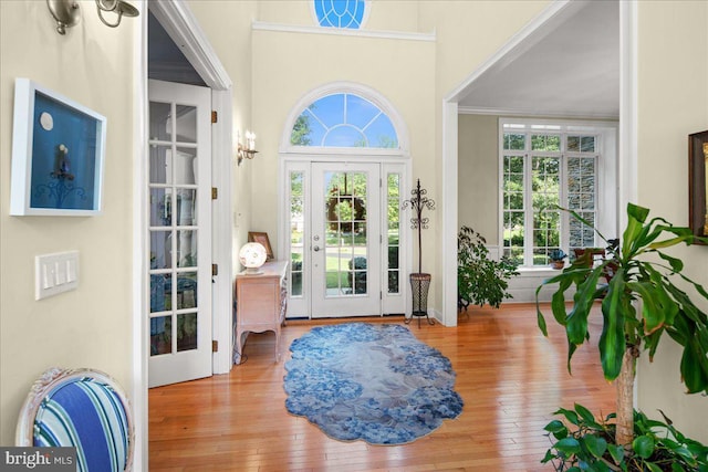 foyer with light hardwood / wood-style floors, a wealth of natural light, a high ceiling, and ornamental molding