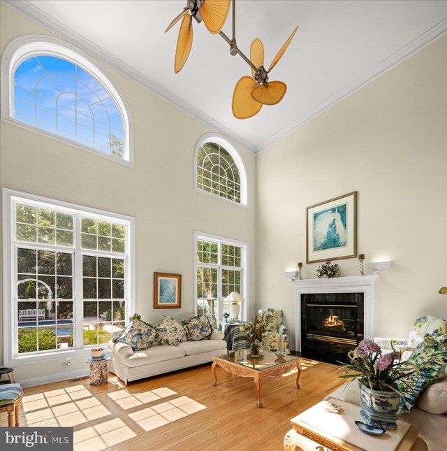 living room featuring decorative columns, light hardwood / wood-style floors, and a high ceiling