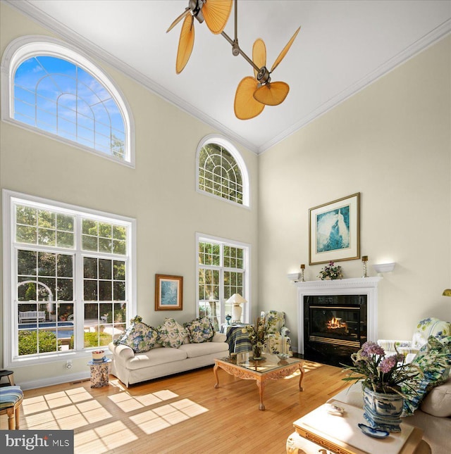 living room featuring a high ceiling, a high end fireplace, ceiling fan, light hardwood / wood-style floors, and ornamental molding