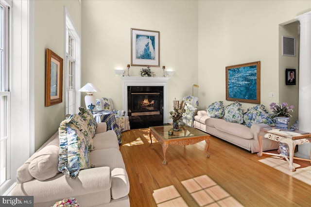 living room featuring a fireplace and hardwood / wood-style flooring