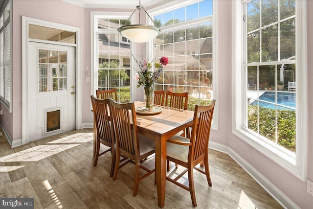 dining space featuring light hardwood / wood-style flooring, a healthy amount of sunlight, and ornamental molding