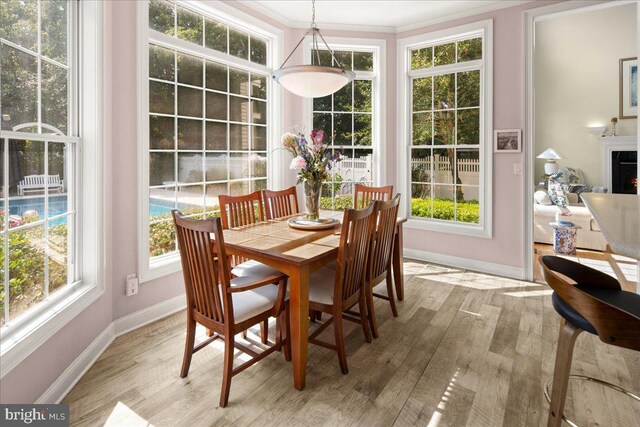 dining room with crown molding and light hardwood / wood-style flooring