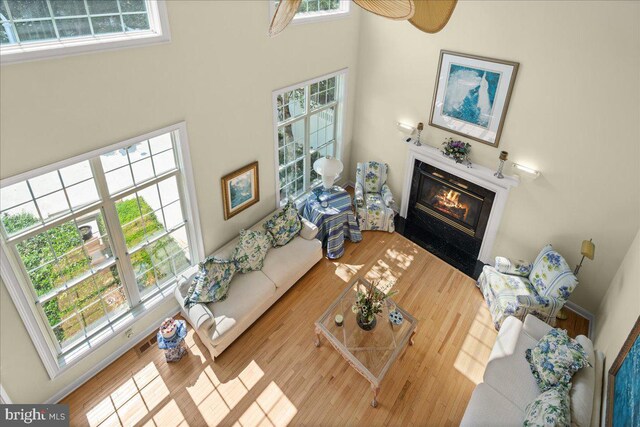 living room featuring a high ceiling and light hardwood / wood-style flooring