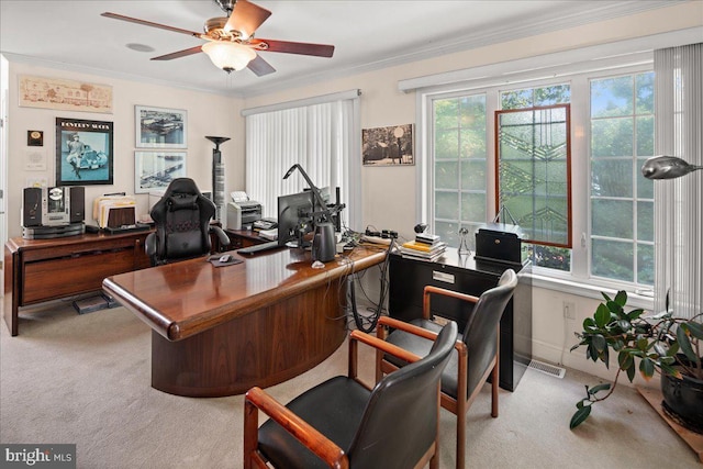 office featuring crown molding, light colored carpet, and a healthy amount of sunlight