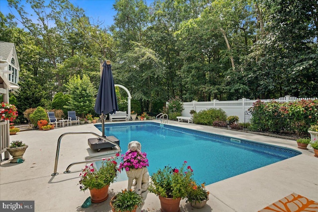 view of pool with a patio