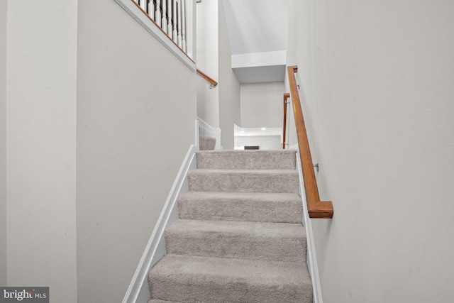 staircase featuring carpet