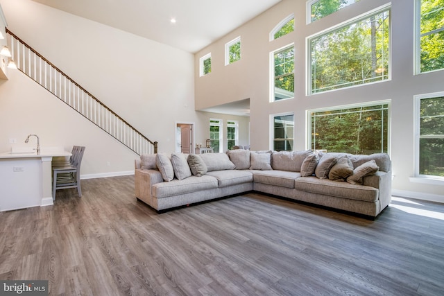 living room with sink, hardwood / wood-style floors, and a towering ceiling