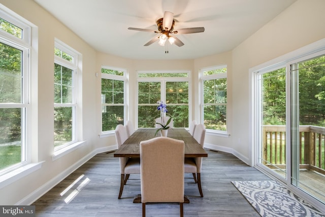 sunroom / solarium featuring ceiling fan