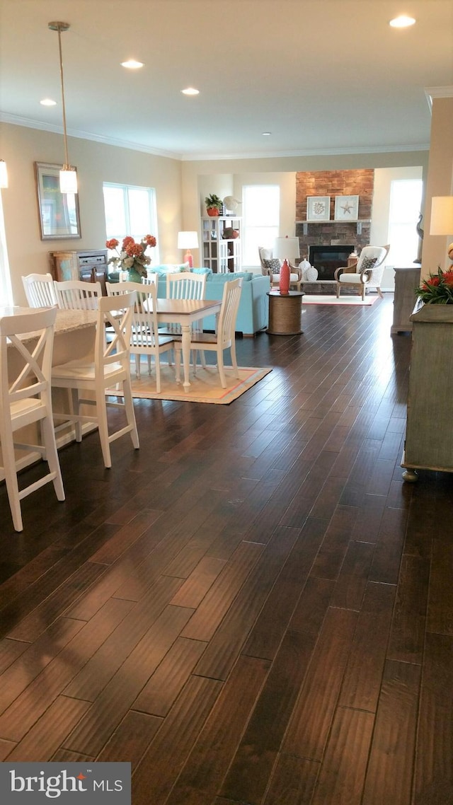 dining space with crown molding and dark hardwood / wood-style flooring