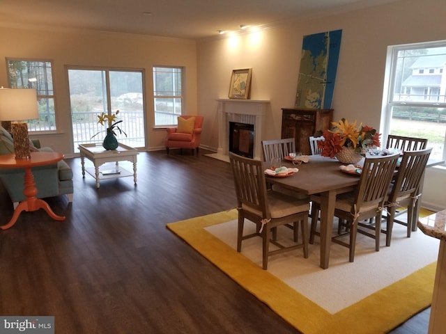 dining room featuring ornamental molding and hardwood / wood-style floors