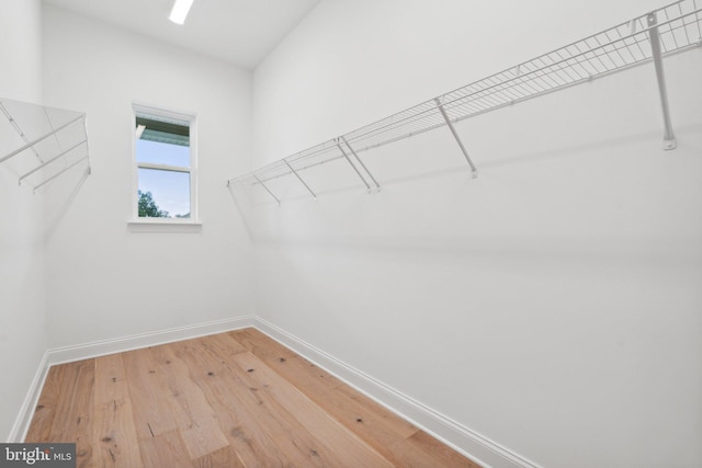 walk in closet with wood-type flooring