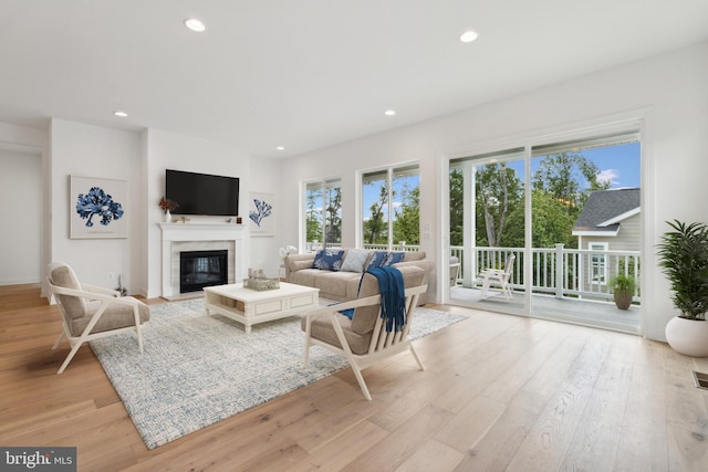 living room with a healthy amount of sunlight and light hardwood / wood-style floors