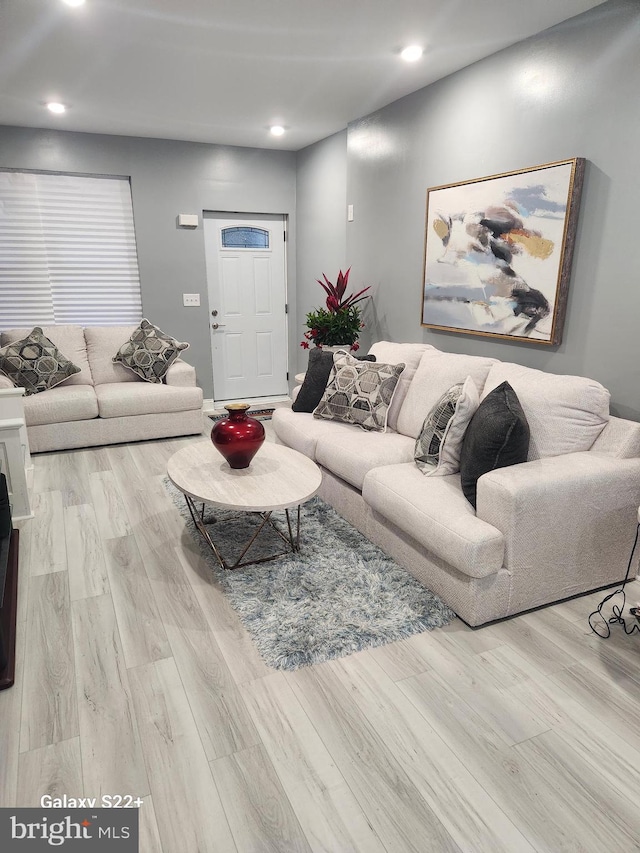 living room with light hardwood / wood-style flooring