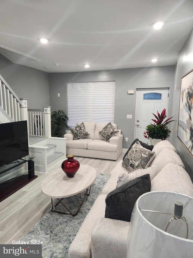 living room featuring wood-type flooring