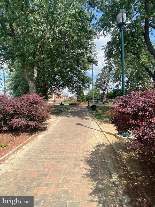 view of street