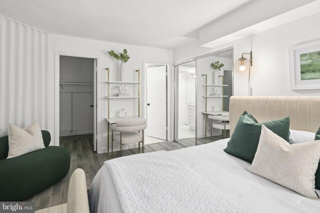 bedroom with connected bathroom and dark hardwood / wood-style flooring