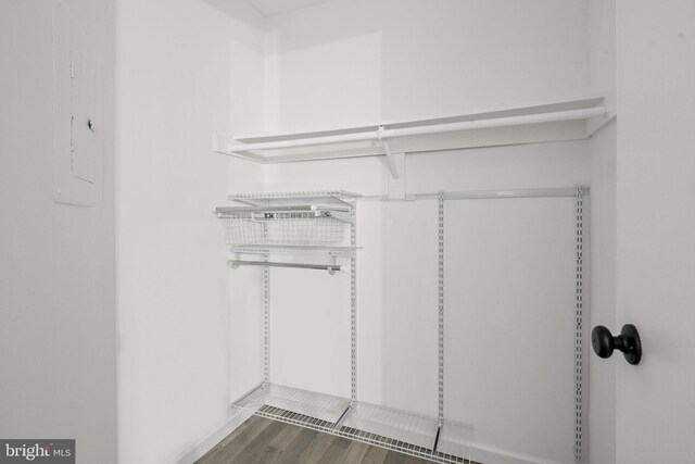 walk in closet with wood-type flooring and electric panel