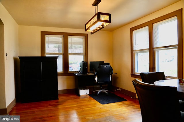 office with wood-type flooring