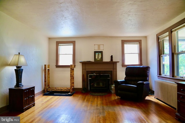 sitting room featuring radiator heating unit, a wealth of natural light, and hardwood / wood-style flooring