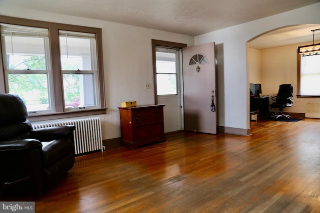 sitting room with a wealth of natural light, dark hardwood / wood-style floors, and radiator