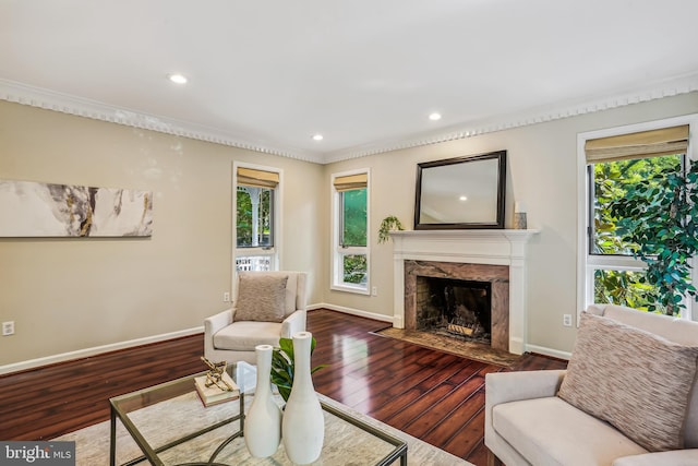 living room featuring a fireplace and dark hardwood / wood-style flooring