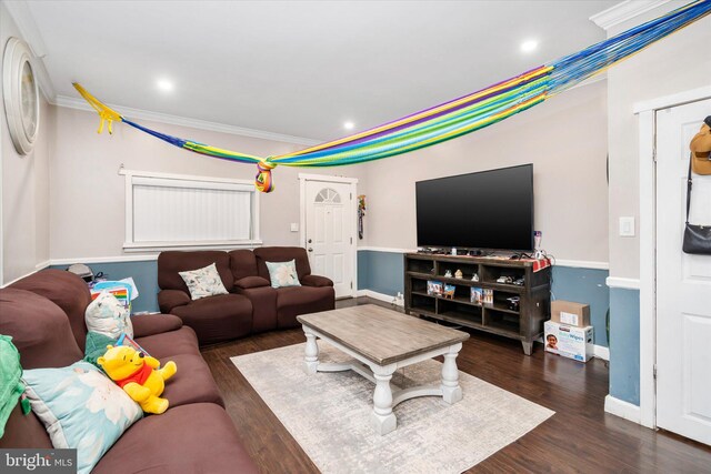 living room featuring dark wood-type flooring and crown molding