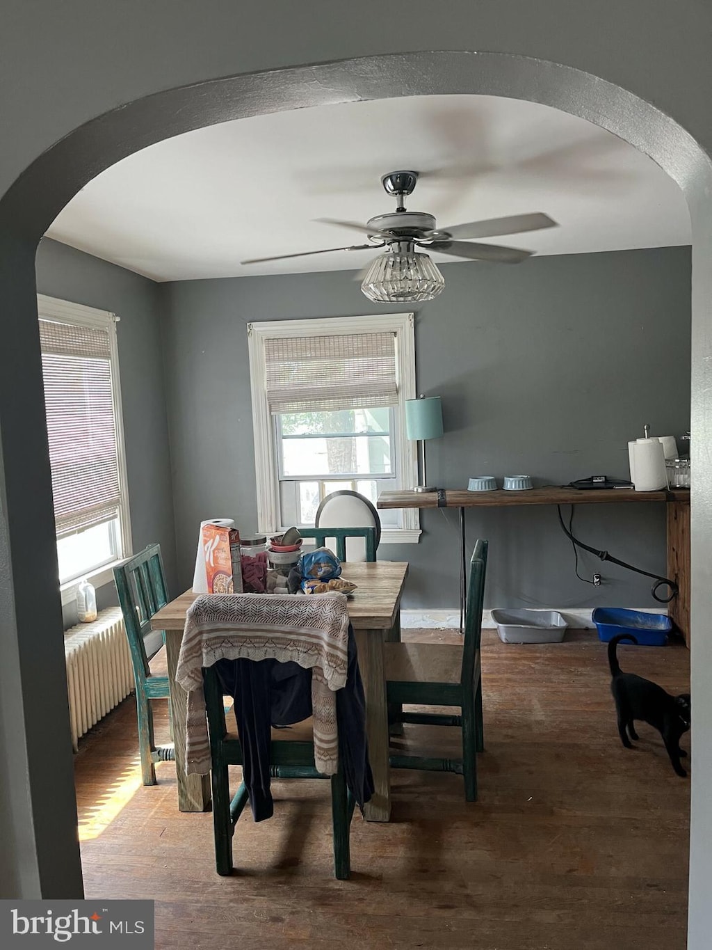 dining area with ceiling fan, radiator heating unit, and hardwood / wood-style flooring