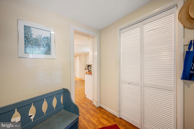 hallway featuring wood-type flooring