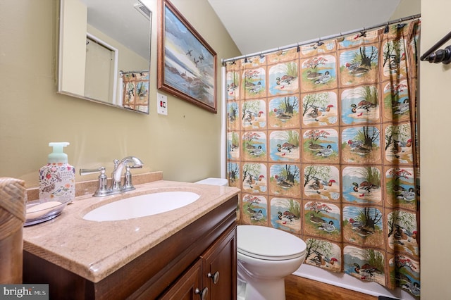 bathroom with vanity, hardwood / wood-style floors, walk in shower, and toilet