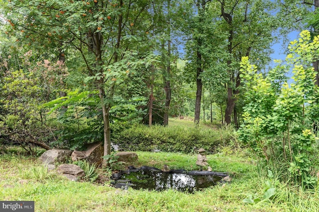 view of landscape