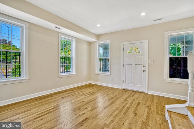 foyer with light wood-type flooring and plenty of natural light