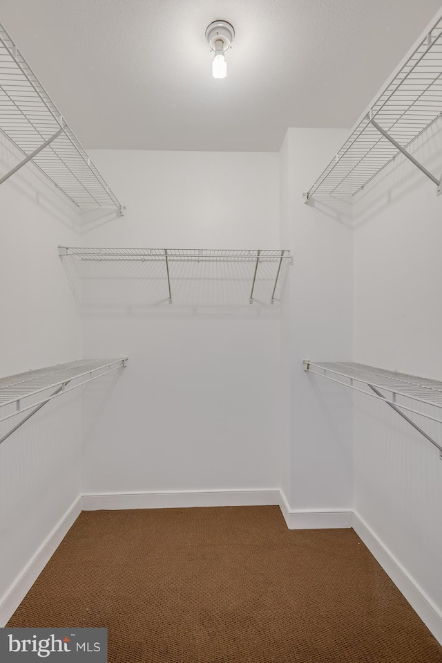 spacious closet with carpet flooring