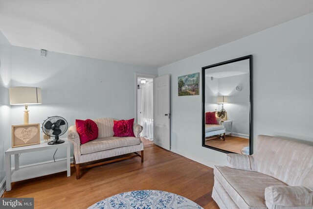 living area featuring wood-type flooring