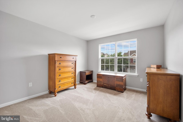 interior space with light carpet