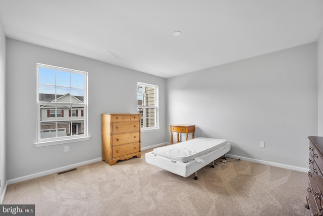 living area featuring a wealth of natural light and light carpet