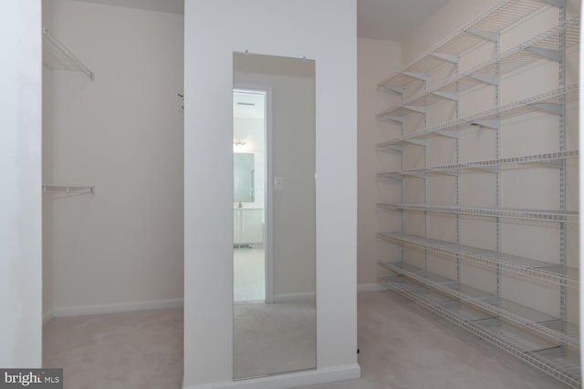 walk in closet featuring light colored carpet