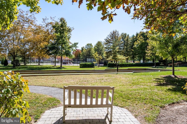 view of community featuring a lawn