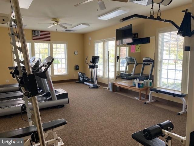 exercise room with ceiling fan and carpet