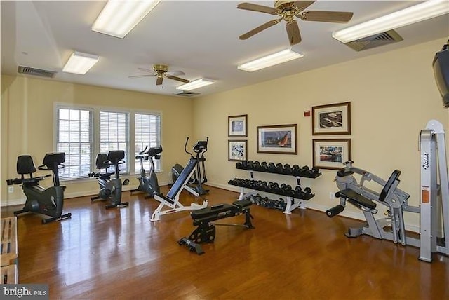 exercise room with ceiling fan and hardwood / wood-style floors