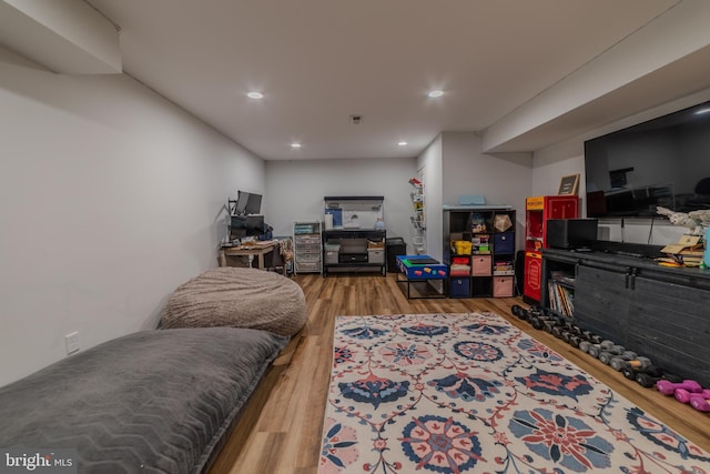 living room with hardwood / wood-style floors