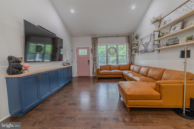 living room featuring dark hardwood / wood-style floors and high vaulted ceiling