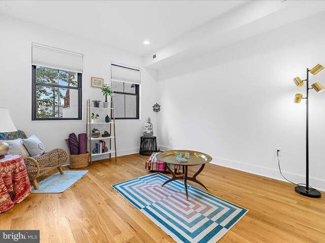 living area featuring light hardwood / wood-style flooring