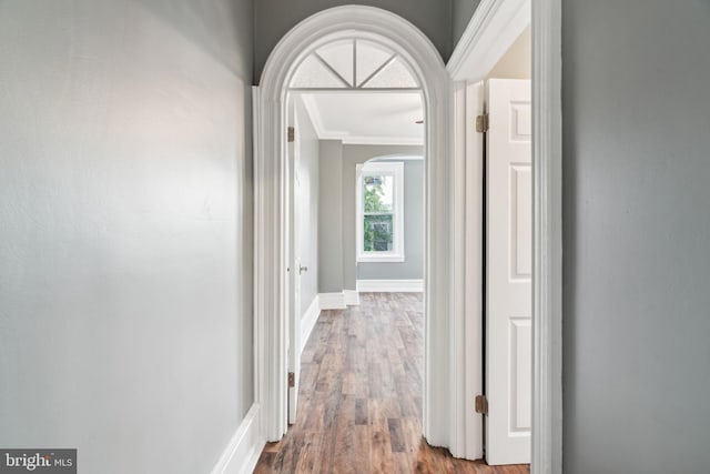 hall featuring ornamental molding and hardwood / wood-style floors